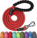 NTR 8FT Heavy Duty Dog Leash, Green Rope with Swivel Lockable Hook and Comfortable Padded Handle, Cat & Puppy Leash for Small to Large Dogs - Training, Playing, Camping, or Backyard by NTR