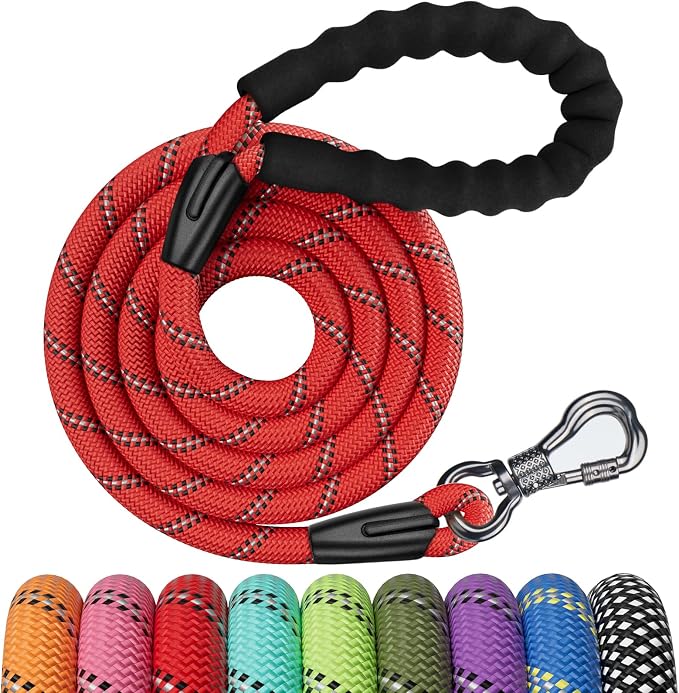 NTR 8FT Heavy Duty Dog Leash, Green Rope with Swivel Lockable Hook and Comfortable Padded Handle, Cat & Puppy Leash for Small to Large Dogs - Training, Playing, Camping, or Backyard by NTR