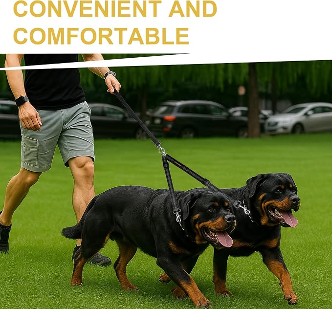 MingXpet Double Dog Leash for Two Dogs, No Pull Dog Leash, 360° Swivel No Tangle for Large Dogs Walking & Training, Shock Absorbing Reflective Bungee, Black - Image 7