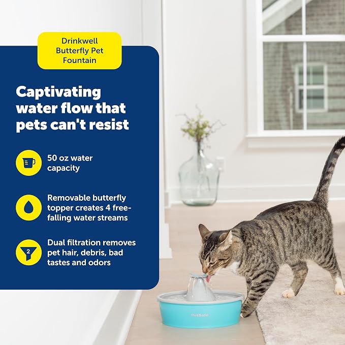 PetSafe Butterfly Cat Water Fountain, Pump & Filters, 50 oz Capacity | Butterfly Topper Creates 4 Water Streams, Replaceable Carbon and Foam Filter Keep Water Fresh and Clean - Image 2