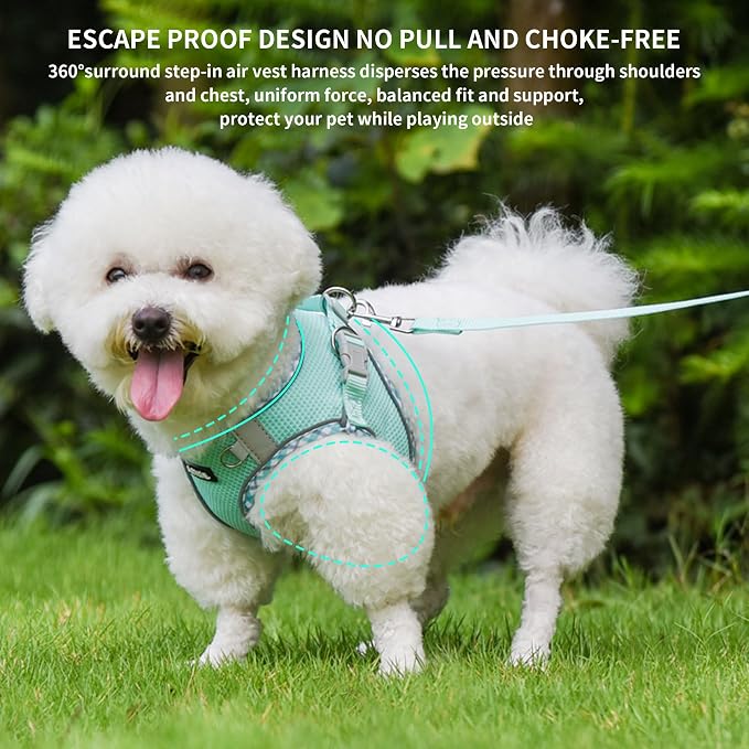 Teacup Puppy Harness and Leash Set Escape-Proof, Turquoise S | No Pull Step-in Vest, Breathable Mesh, Reflective Design with High-Stick Magic Tape, Outdoor Use for Poodles, Pomeranians - Image 4