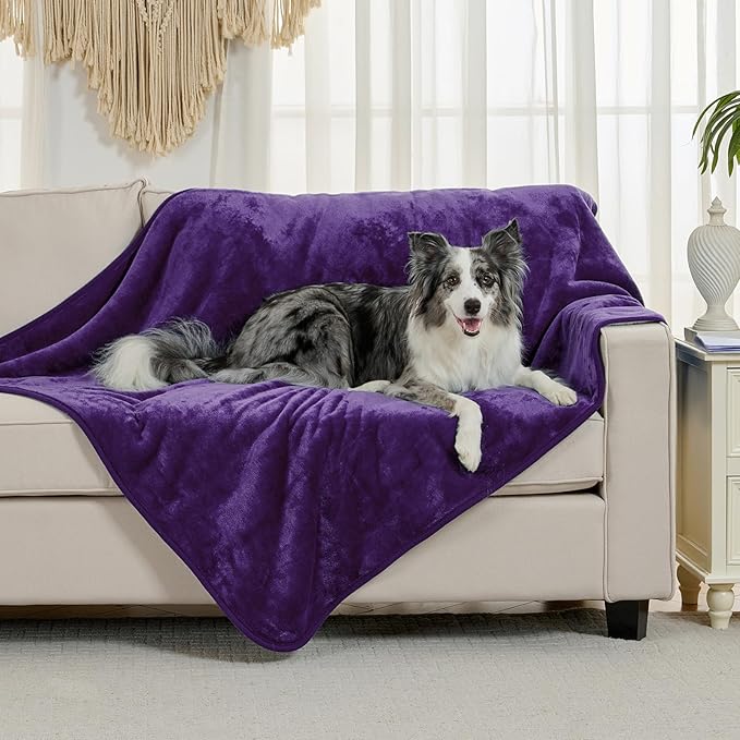 Soft Waterproof Blanket for Bed Couch Sofa, Dark Purple, 60x80inches | Liquid Pee Proof Pet Blanket for Dog Puppy Cat, Reversible Sherpa Fleece Blanket for Couch Cover, Furniture Protector - Image 2