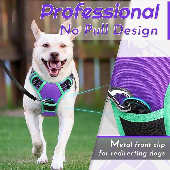 Eagloo Dog Harness for Large Dogs, No Pull Pet Vest with 2 Leash Clips | No Choke with Handle, Adjustable Comfort Fit, Reflective Strips, Easy Walking Control, Purple & Turquoise, X-Large - Image 2