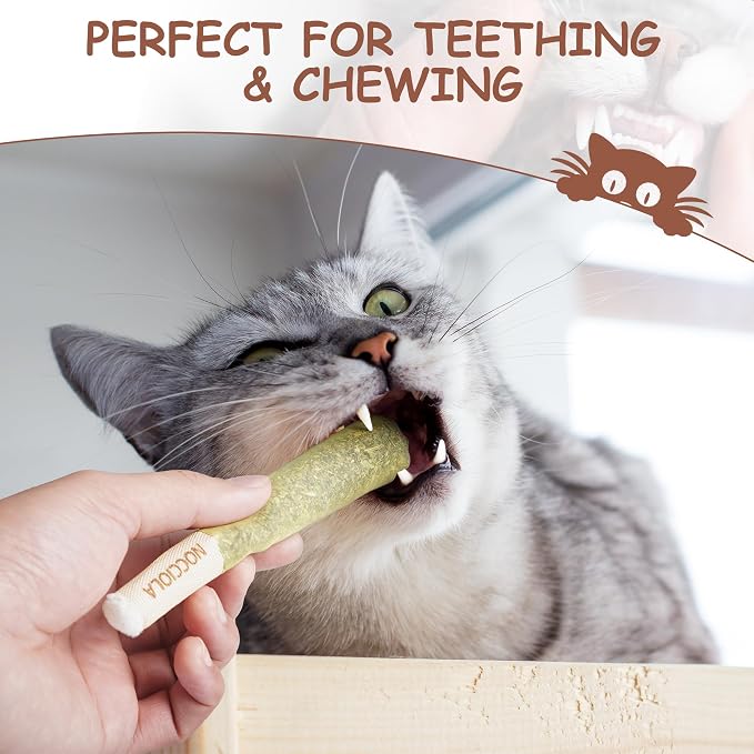 Nocciola 3 Pack Catnip Toys for Cats, Funny Cat Toys Filled with 100% Pure Organic Catnip, Safe Kitten Teething Chew and Kicker Toys, Stress Relieving Fun for Indoor Cats, Brown - Image 4