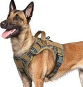 rabbitgoo Tactical Dog Harness for Large Dogs, No Pull Service Pet Vest | Military Molle System & Easy Control Handle, Adjustable and Reflective for Walking and Training, Desert Camo, Large by rabbitgoo