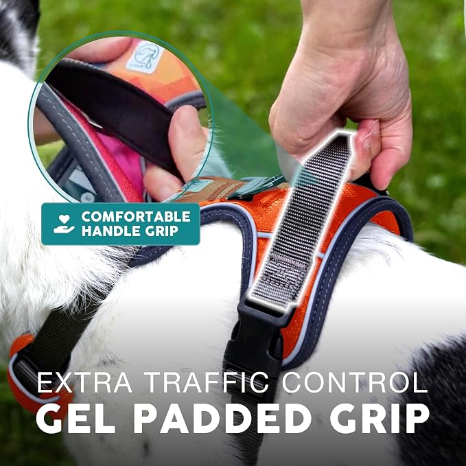 Embark No Pull Dog Harness, Reflective Adjustable Training Vest, No Choke | Adjustable straps fit all dog breeds with sturdy hooks; 360° reflective trim, soft padded Harness Design for All Dogs - Image 6
