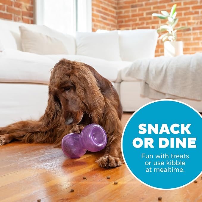 Outward Hound Double Snoop Interactive Treat Dispensing Dog Toy, Purple, 6" | Rolls & Bounces, Treat Stuffer, Puzzle Ball & Slow Feeder, Enrichment, Mint Scented, Easy Clean, No BPA, Medium to Large Dogs - Image 5