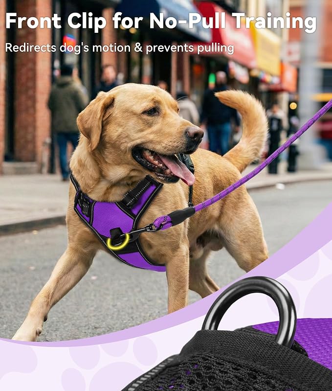 Joytale No Pull Dog Harness Medium Sized Dog, Front Clip, Purple | Grab Handle for Instant Control, Padded & Adjustable Vest, Sturdy Metal D-Rings, for Safe Training & Daily Walking - Image 2