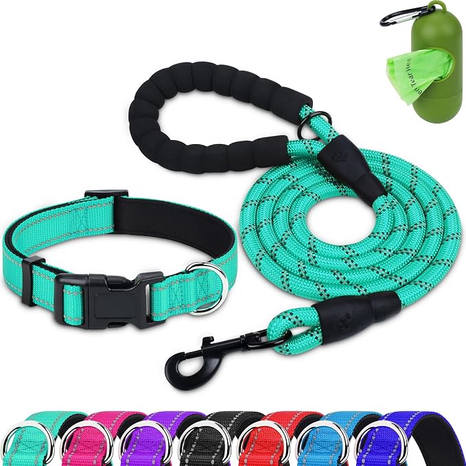 Dynmeow Reflective Dog Collar and Leash Set for Puppy Small Dogs, Teal | Soft Neoprene Padded, 6FT Climbing Rope, Ideal for Daily Outdoor Walking or Indoor Wearing, Night Visible for Safety by Dynmeow