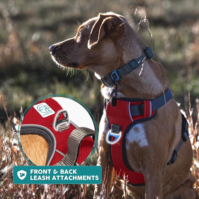 Embark No Pull Dog Harness, Reflective Adjustable Training Vest, No Choke | Adjustable straps fit all dog breeds with sturdy hooks; 360° reflective trim, soft padded Harness Design for All Dogs - Image 9