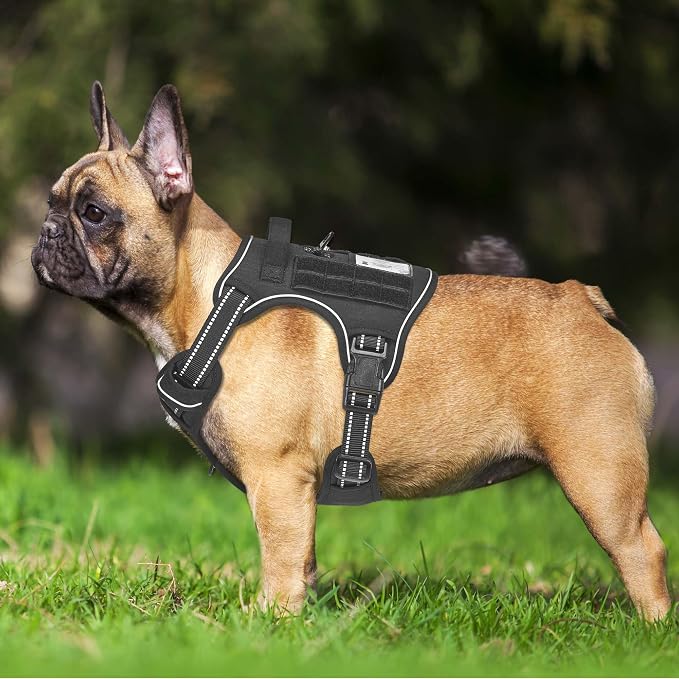 Beebiepet Heavy Duty Tactical Dog Harness for Small Dogs, No Pull Adjustable Pet Harness Reflective Service Training Easy Control Pet Vest Military K9 Working Dog Harnesses- Medium, Black - Image 2