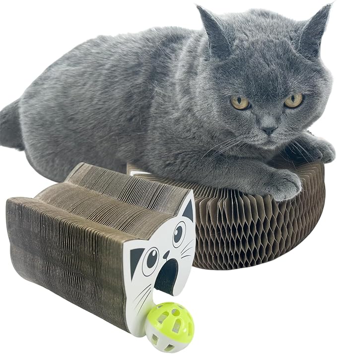 Interactive Scratching Board for Playful Kitties Magic Accordion Cat Scratching Post, Fun Cat Toys for Indoor Cats 1Pack by Bliwinpt