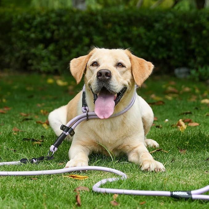 Rope Dog Leash, 6 Foot Heavy Duty Dog Leash with Aviation Aluminum Auto Locking Carabiner, Strong Nylon Pet Lead for Small, Medium, Large Dogs (Yellow, 6FT) - Image 6
