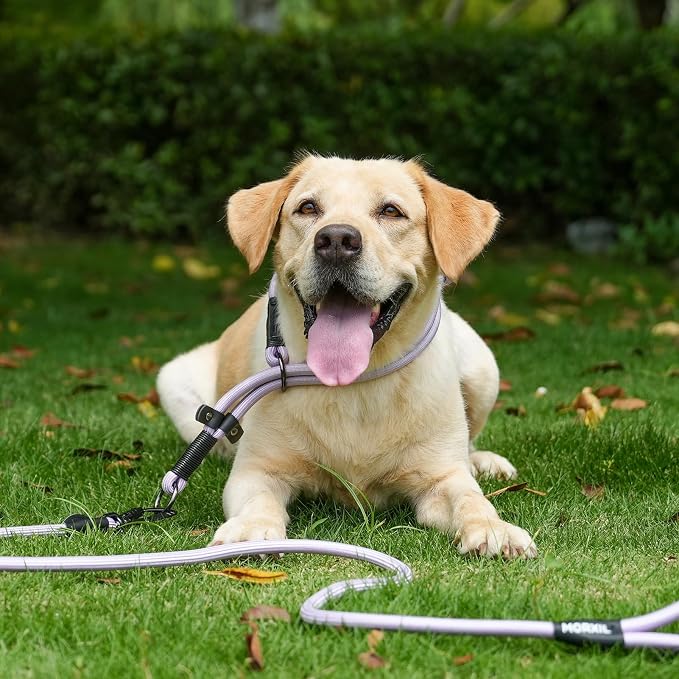 Rope Dog Leash with Two Handles, 6 Foot Heavy Duty Dog Leash with Aviation Aluminum Auto Locking Carabiner, Strong Nylon Pet Lead for Small, Medium, Large Dogs (Purple, 6FT-Two Handle) - Image 6