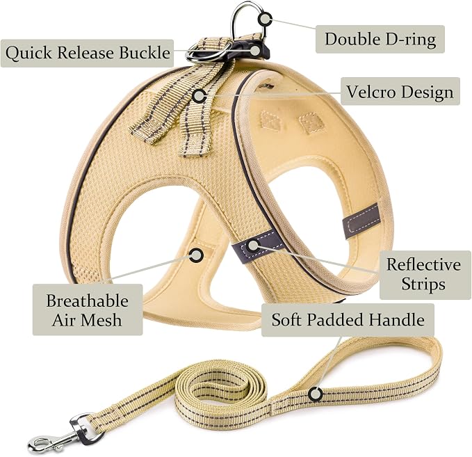 Dog Harness with Leash Set, Step-in Adjustable Puppy Pet Vest, Beige S | Lightweight Breathable Air Mesh, Night Safety Reflective, No Pull Puppy Vest Harnesses for Small Medium Large Dogs, Cats - Image 2