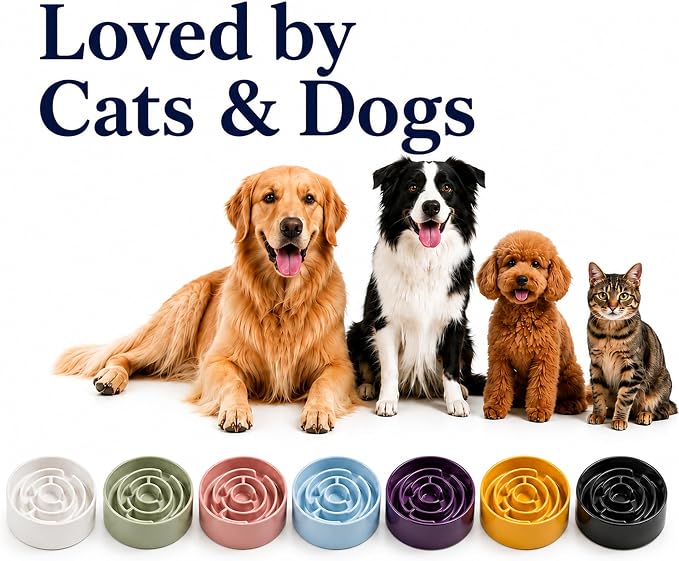 Ceramic Slow Feeder Dog Bowl 1.5 Cup Puzzle Dish for Small Medium Dogs | Glazed ceramic maze bowl with 1.5-cup capacity for dry or wet food, sized for small and medium dogs - Image 8
