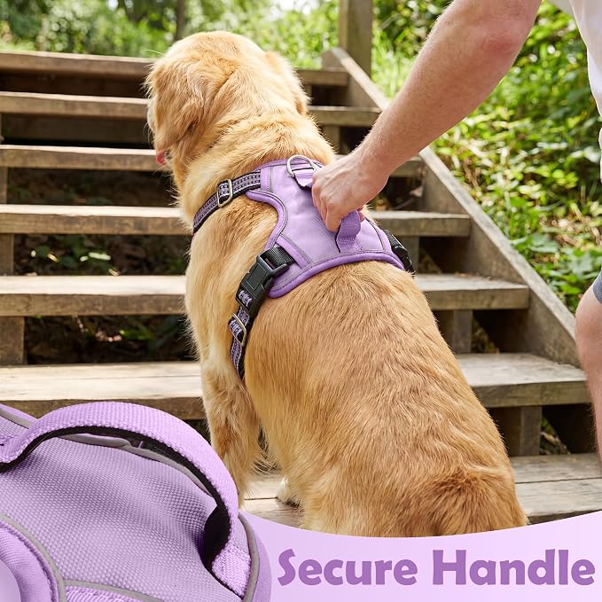Dog Harness No Pull, Adjustable Pet Vest Harness, Super Soft Material with Vertical Handle Easy Control, Reflective Night Walking, 2 Leash Clips for Medium Sized Dogs, Purple, M - Image 5