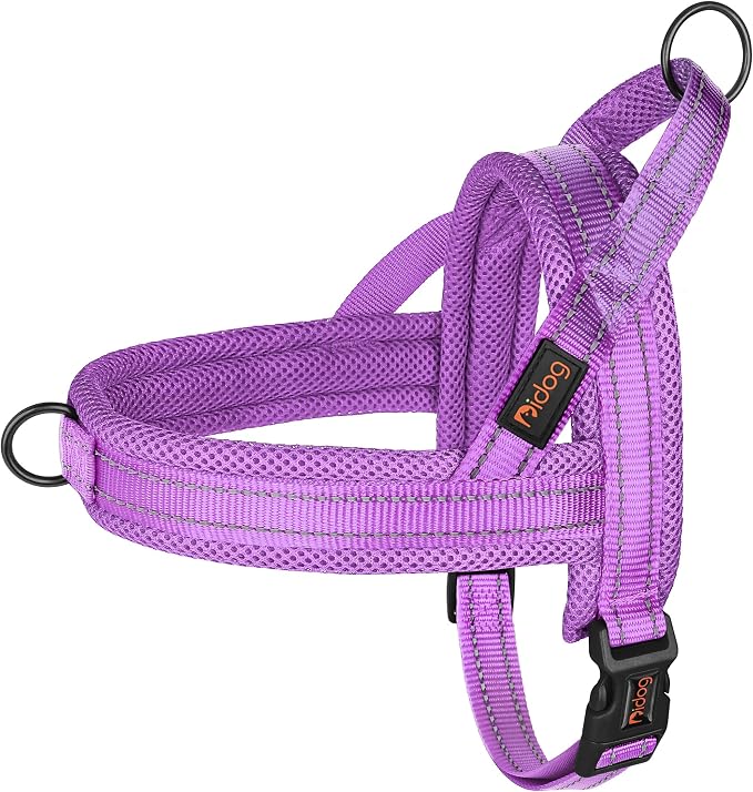 No Pull Dog Harness for Small Dogs, Breathable Mesh Padded, Purple, S | Quick Fit, Easy On and Off, Lightweight, Reflective Vest Harness for Night Safty, Easy for Walking and Training, Chest 18-22" by Didog