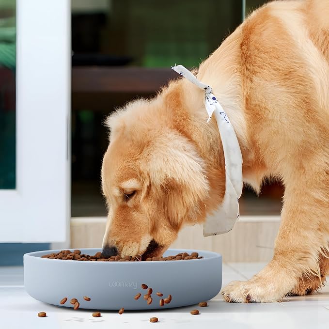 Coomazy Extra Large Slow Feeder Bowl, Silicone Dog Bowl with Suction Cups | Slow Feeder & Non-Slip Design, Boredom and Anxiety Reducer, Suitable for Large Dogs, 5 Cup - Image 7