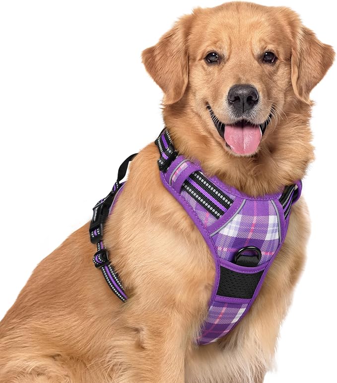 rabbitgoo Dog Harness, No Pull for Large Dogs with 2 Leash Clips, Pet Vest | No Choke with Handle, Adjustable Soft Padded, Reflective, Easy Control for Walking, Purple Plaid, X-Large by rabbitgoo