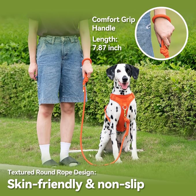 5FT Dog Leash Puppy Cat Rope Lead for Small Medium Large Dogs | Orange, with Anti-tangle Swivel Clip, Traffic Non-slip Grip Handle for Extra Control, Ideal for Daily Walks and Training - Image 4