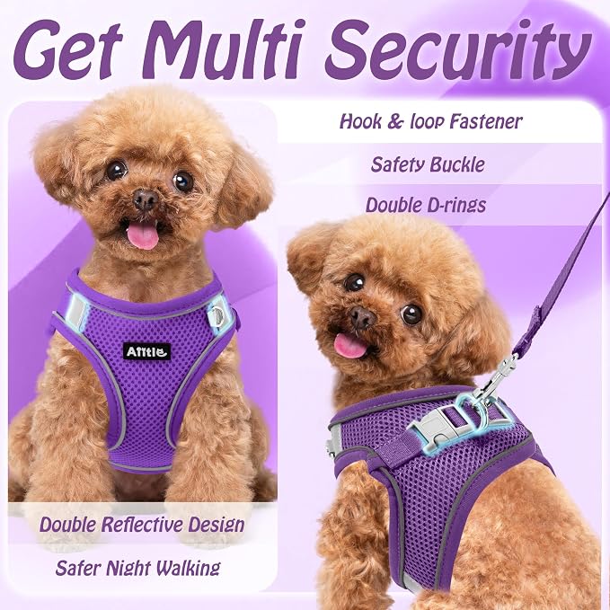 AIITLE Dog Harness and Leash Set, Step-in Puppy Pet Vest, Pure Purple XXXS | Light, Soft, Breathable Air Mesh, Escape-Proof, Easy on and Remove with Hook & Loop, Secure Reflective for Walking - Image 5