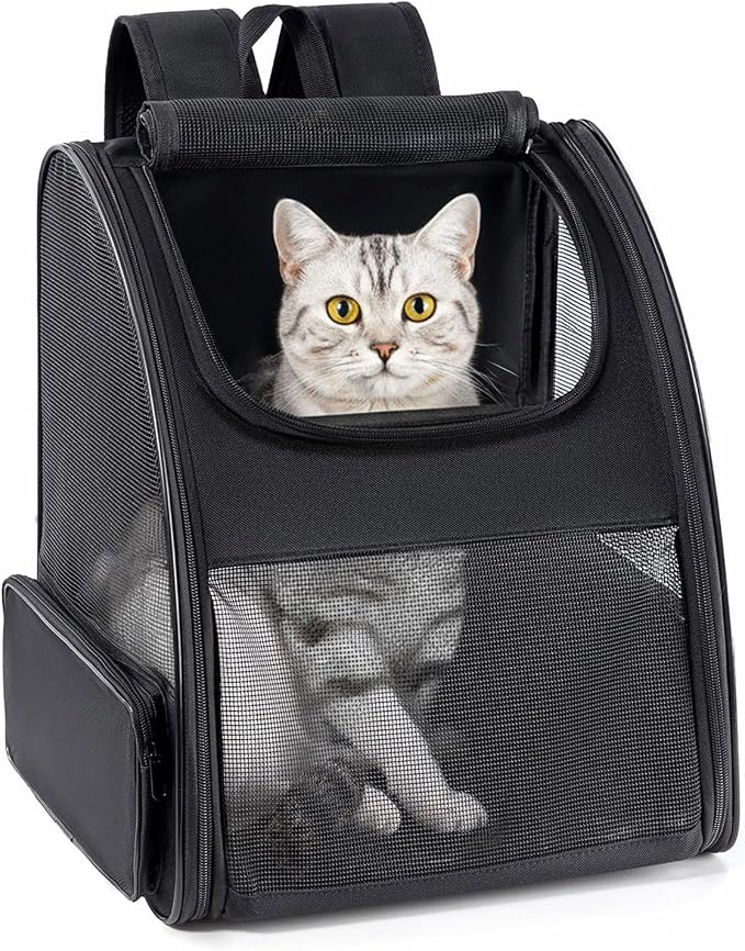 Conlun Cat Backpack Carrier for Small Dogs and Cats Fit Up to 15 Lbs,Small Dog Backpack, Foldable with 3-Side Mesh Windows, Pet Carrier for Travel & Hiking Friendly，Black by Conlun