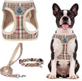 PUPTECK Dog Harness, Collar and Leash Set No Pull for Small Medium Sized | Plaid Puppy Step-in Escape Proof Reflective No Choke Pet Cat Adjustable Walking Vest by PUPTECK