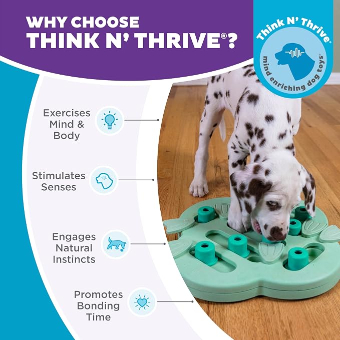 Outward Hound Nina Ottosson Puppy Hide N' Slide Dog Toy Treat Puzzle, 11.6" | Level 2 Intermediate, 14 Hidden Treat Compartments, Holds 1/4 Cup Kibble or Treats, Easy Clean, No BPA, Enrichment, Puppies - Image 6