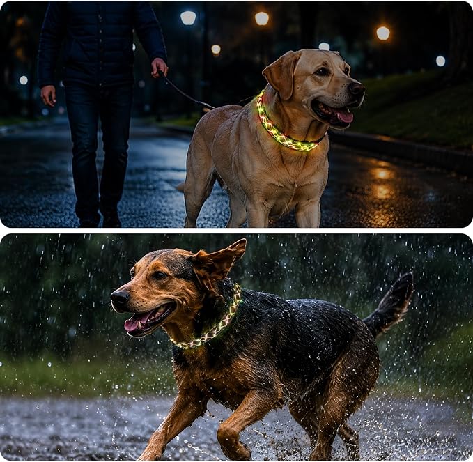 Rechargeable LED Dog Collar for Night Walking, Embroidered Rope Light | The LED light is visible from 360 degrees, anti-loss and enhancing outdoor walking safety(Small Multicolor) - Image 8