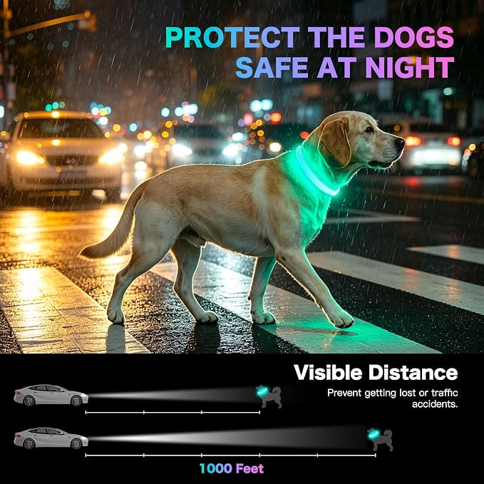 Light Up Dog Collar, Rechargeable LED Dog Collar, Color Changing Dog Collar for Night Walking, Adjustable Lighted Dog Collar for Small Medium Large Dogs, Multicolor Stripe, USB Rechargeable (M) - Image 2
