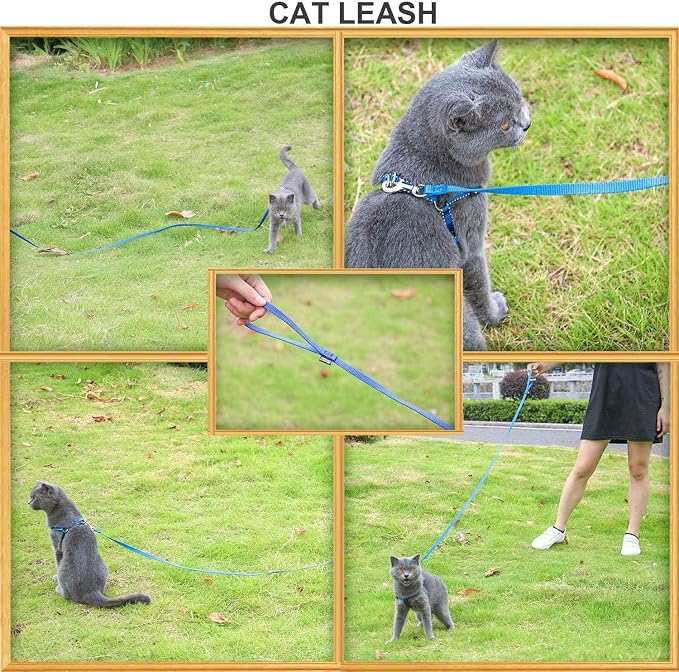 AMAGOOD 6 FT Puppy/ Dog Leash, Strong and Durable Traditional Style Leash with Easy to Use Collar Hook, Great for Small, Medium and Large Dogs (5/8 in x 6 ft, Black and Blue (2-Pack)) - Image 4