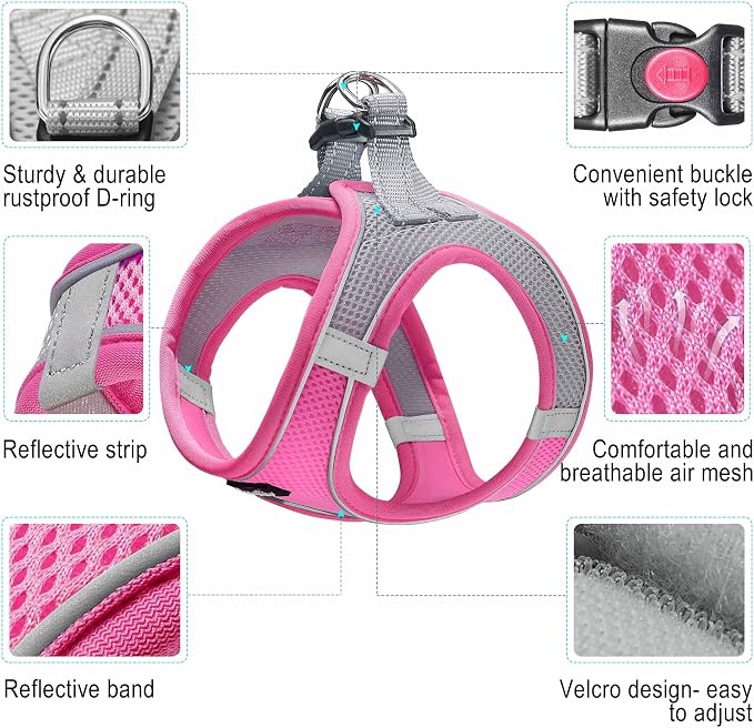 haapaw Dog Harness with Leash Set, No Pull Adjustable Reflective Step-in Puppy Harness with Thickened Padded Vest for Extra-Small/Small Medium Dogs - Image 2
