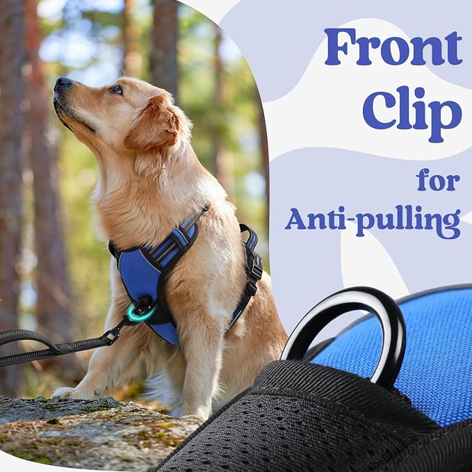 rabbitgoo Dog Harness for Large, Updated Easy On & Off with 3 Buckles | No Pull No Choke, Walking with 2 Clips and Handle, Adjustable Soft Reflective, Blue, X-large - Image 6