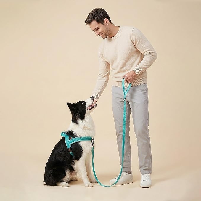 Didog 6FT Reflective Dog Leash for Medium Large Dogs, Slim 3/4" Width, Teal | Soft Padded Handle, Plush Comfort Grip, Tangle-Free, 360°Heavy-Duty Strengthened Clasp for Daily Walks/Training, Night Safety - Image 3