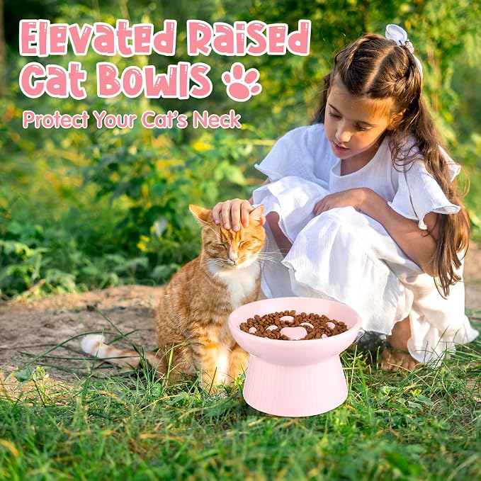 Tioncy 2 Pcs Ceramic Elevated Slow Feeder Cat Bowl, Raised Cat Slow Feeder Bowl, Anti Vomiting for Dry and Wet Food, No Spill High Edge Easy Clean Dishwasher Safe (Pink,Dark Green) - Image 6