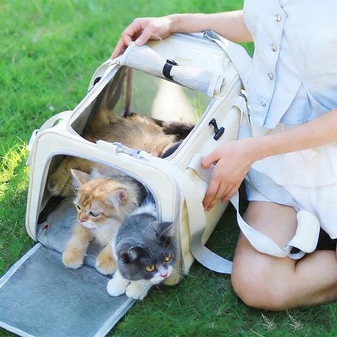 Pet Carrier Bag for Cats & Small Dogs, Airline Approved Travel Cat Carrier with Mesh Windows, Shoulder Strap & Removable Mat, Foldable Design for Home & Outdoor Trips - Image 5