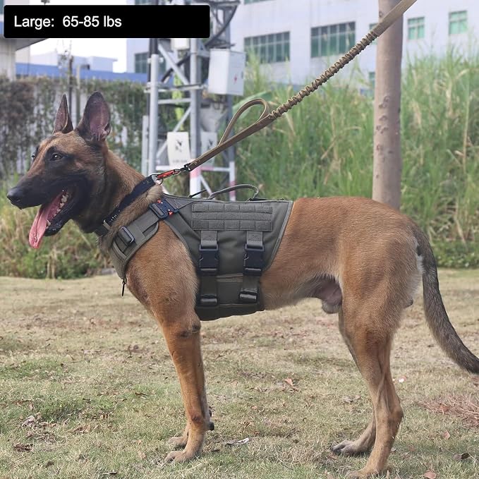ICEFANG No Pull Tactical Dog Harness for Large Dogs,Adjustable Dog Vest | Control Handle,MOLLE Panel,Front Hook,3 Leash Clips,Soft Padded,for walking training,Green,Large - Image 2