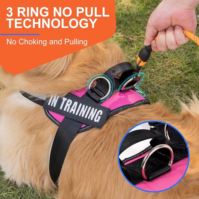 Essential Dog Harness, No Pull Pet Harness with 3 Side Rings for Leash Placement, No Choke, Reflective, Adjustable Pet Vest, Easy On-Off & Improved Control Handle, Training, Walking, Running - Image 4