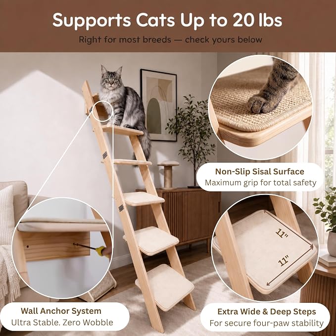 65" Tall 6-Level Cat Ladder for Window & wall | Fits Cats up to 20 lbs |Senior & Less Agile cat Stairs for Window with 55° Gentle Incline | Requires 43" Floor Clearance | No-Drill Glass Installation - Image 4