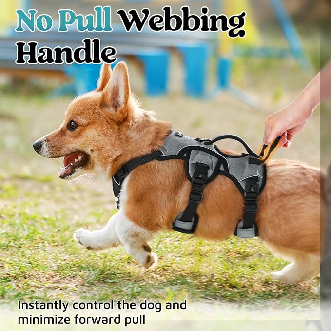 rabbitgoo Escape Proof Dog Harness for Small, No Pull with Lift Handle | No Escape, Full Soft Padded, Reflective Adjustable Vest, Leash Clip for Walking Hiking Training, Grey, Small - Image 4