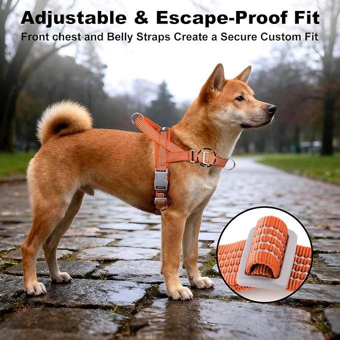 No Pull Dog Harness with Handle, Adjustable Soft Mesh Padded Vest | Reflective Walking Harness with Front Clip for Small Medium Large Dogs, Quick Fit No Escape for Training, Orange, L - Image 5
