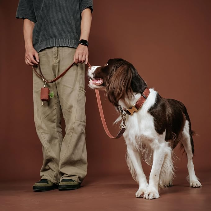PU Leather Dog Leash for Medium Dogs, 5ft Soft Padded Handle, Brown | Comfortable Grip for Daily Walking Training, Full Control, Metal D-ring, Tangle-Free 360° Swivel Clasp, Easy to Clean, 3/4in - Image 2