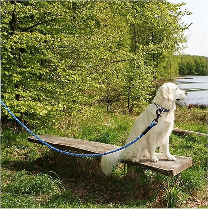 MayPaw 20ft Long Rope Dog Leash for Large Medium Dogs Soft Handle Dog Lead | 1/2-In Thick Lead, 3/6/8/10/12/15/20/30FT Training Leash, 14+ Colors - Image 9