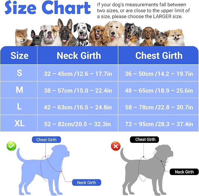 Dog Harness No Pull, Adjustable Pet Vest Harness, Super Soft Material with Vertical Handle Easy Control, Reflective Night Walking, 2 Leash Clips for Medium Sized Dogs, Blue, M - Image 2