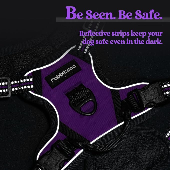 rabbitgoo Dog Harness No Pull with 2 Leash Clips, Adjustable Soft Padded, Reflective Oxford No Choke Pet Vest with Easy Control Handle for Puppy, Purple,XS | No Choke with Handle, Adjustable Soft Padded, Reflective, Easy Control for Walking, Purple, X-... - Image 7
