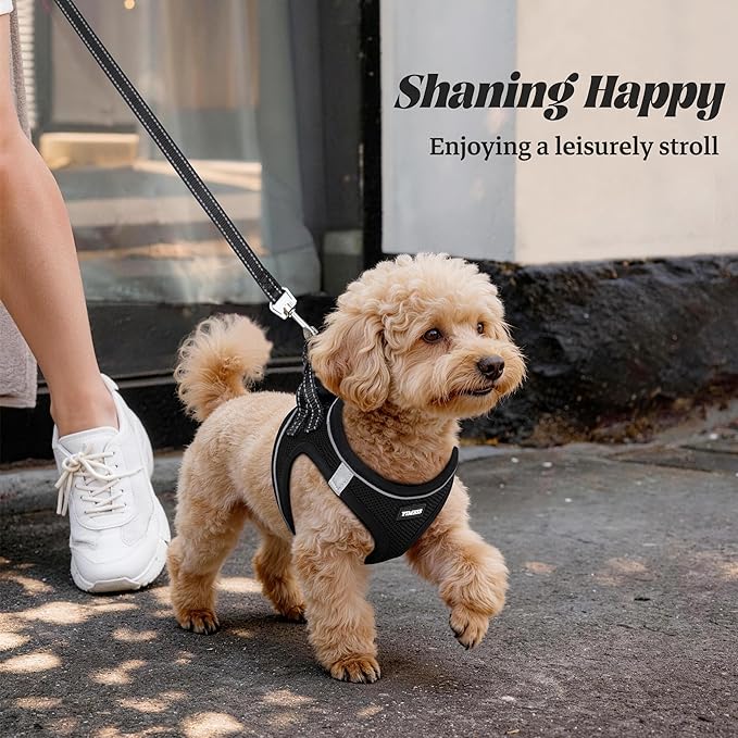 No Pull Dog Puppy Harness and Leash Set Reflective Mesh Vest X-Small - Image 6