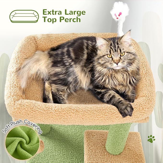 Globlazer Cactus Cat Tree Tower for Indoor Cats, 50-inch Adult Cat Tree House for Large Adult Cats with Steps, Scratching Post, 2 Cat Caves, Dangling Toys, FC50, Green - Image 3