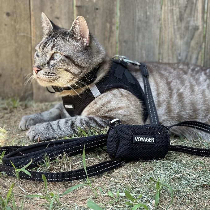 Voyager Step-in Air Dog Vest Harness - Black/Black Trim, X-Large | 20.5 - 23" in Chest, Reflective Bands, All Weather Breathable Air Mesh, Cats Compatible, Lightweight, Fast Drying - Image 8