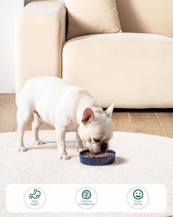 vancasso Slow Feeder Dog Bowl, 0.6 Cup Ceramic Slow Feeding Food Dish for Small Breed, Puzzle Dog Food Bowl for Fast Eater, Blue - Image 7